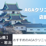 【和歌山県】和歌山市・岩出のおすすめAGAクリニックを紹介！